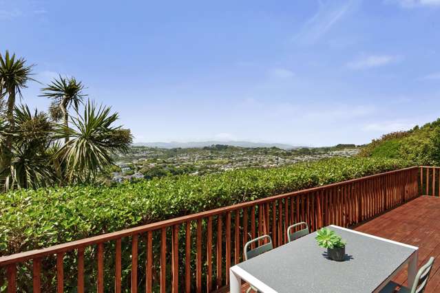 26B Bathgate Street Johnsonville_1