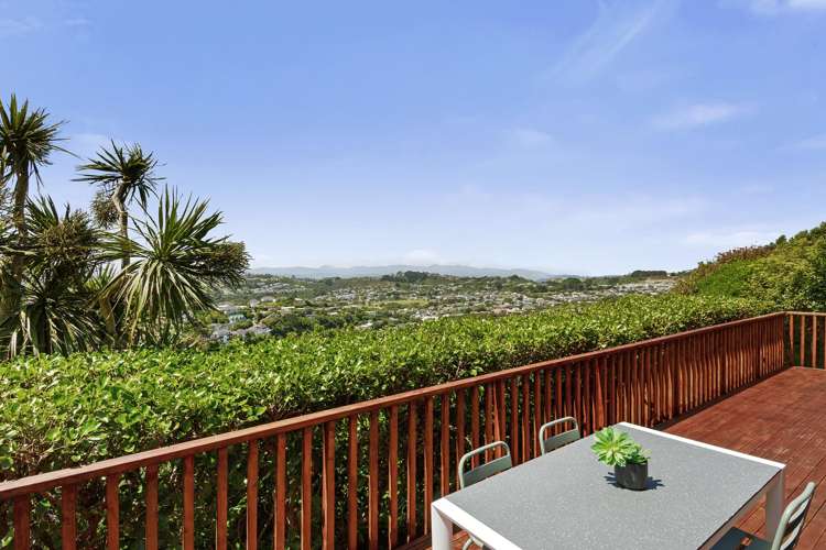 26B Bathgate Street Johnsonville_1