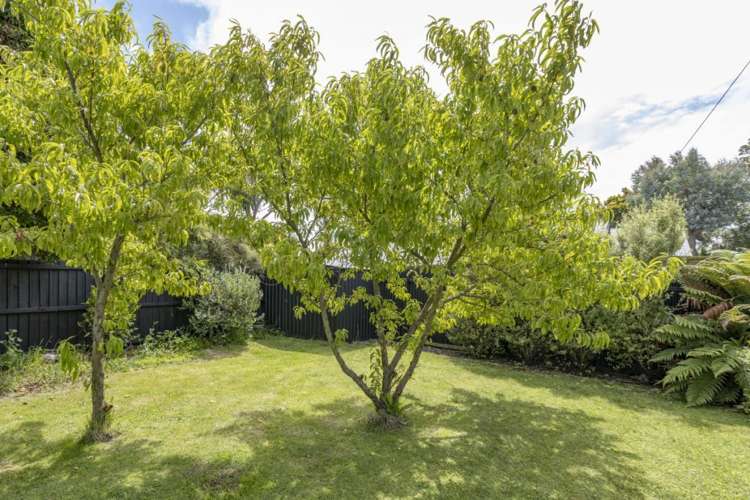 12A Cradock Street South New Brighton_20