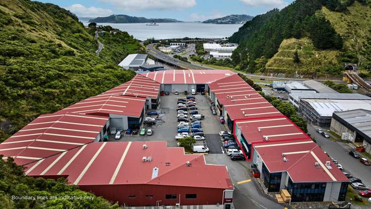 2/4 Glover Street Ngauranga_1