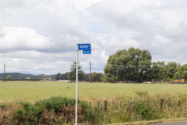 38 George Street Bulls_1