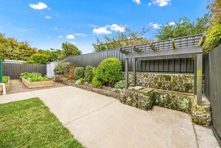 27 Pine Street Mt Eden_13