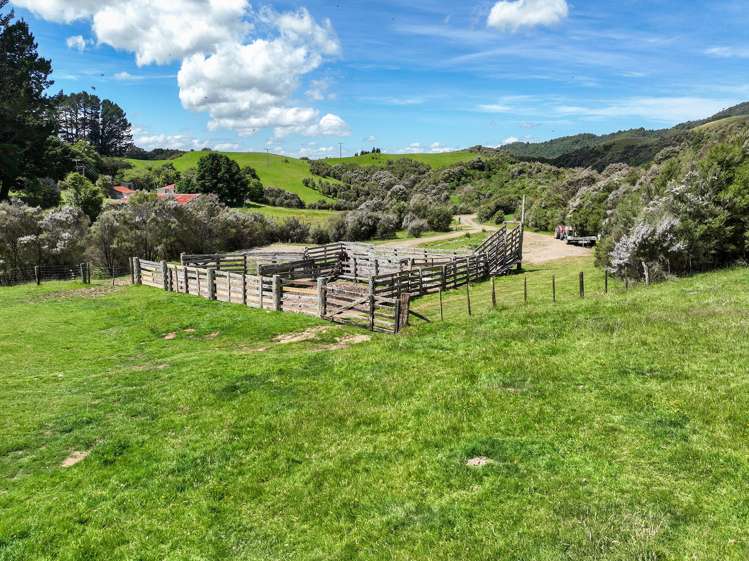 85696 State Highway 2 Mount Bruce_14