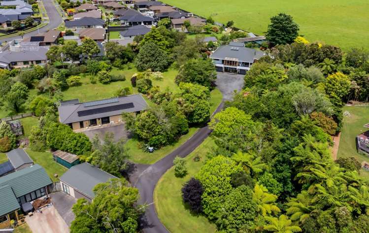 88 Rewa Street Inglewood_43