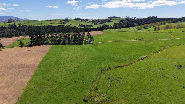 619 Rakauwahia Road Kaikohe_3