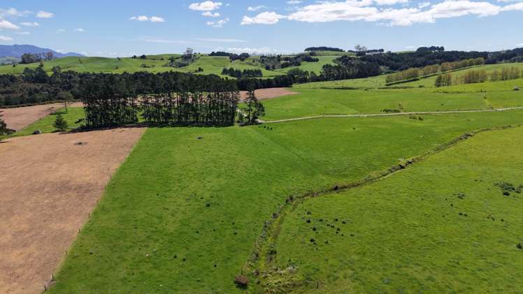 619 Rakauwahia Road Kaikohe_3