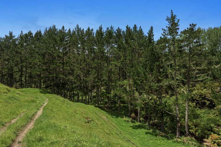 26 Settlement Road Pikowai_18