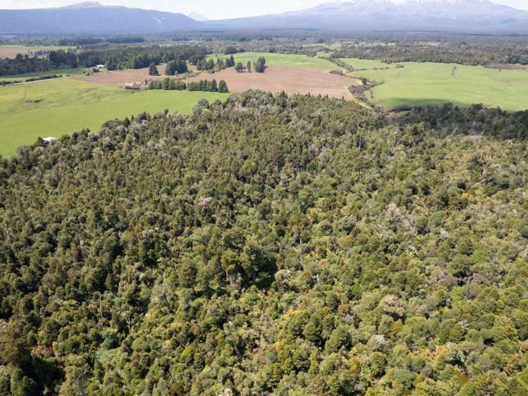 205 Mangaturuturu East Road National Park_7