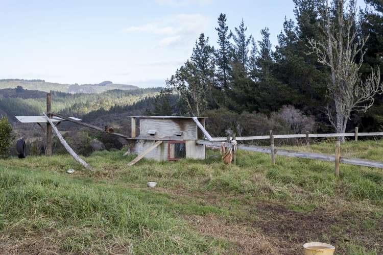 42 Takingawairua Road Kaimarama_14