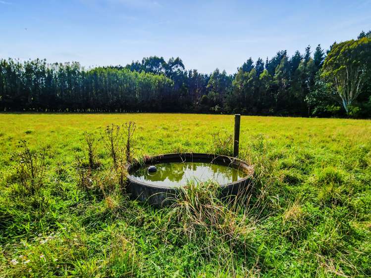 709 Ingahape Road Ohangai_26