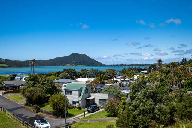 The Jewel in the Pukenui Crown