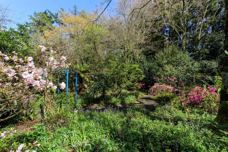 115 Kaipi Road Egmont Village_15