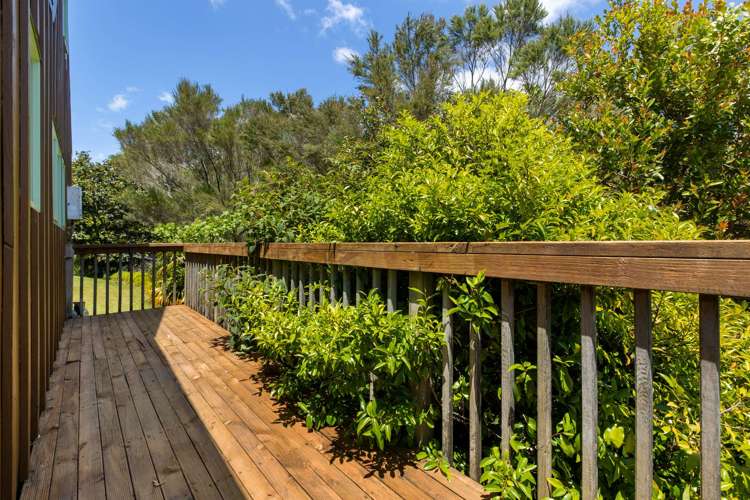 Arawhata Road Kaingaroa_25