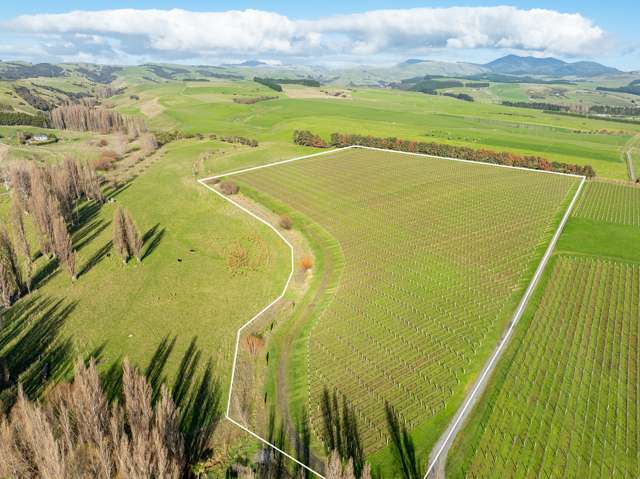 Lot 2 Vineyard Lane Martinborough_1