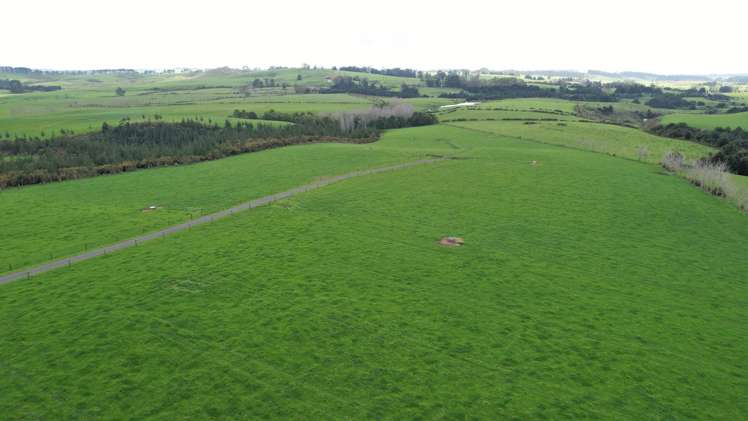 Waiare Road Kerikeri_7