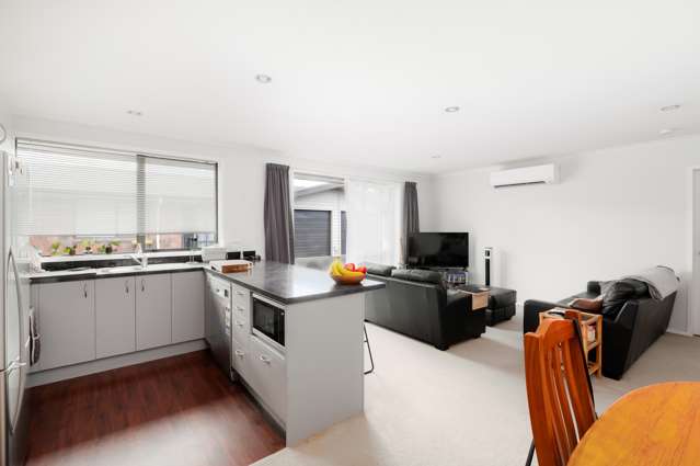 16c Lyon Street Frankton_2