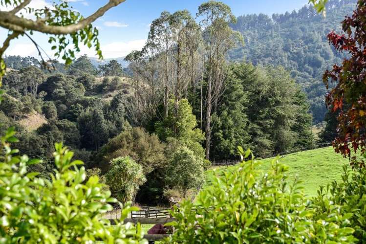 473A Waingaro Road Ngaruawahia_23
