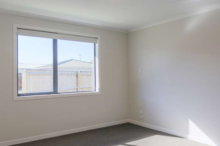 41b James Street Whakatane_7