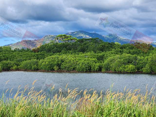 AMAZING "READY TO BUILD" RIVERFRONT FREEHOLD RESIDENTIAL LAND BLOCK ON NAISOSO ISLAND (FIJI)