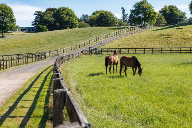 136 Wells Road Okoroire_1