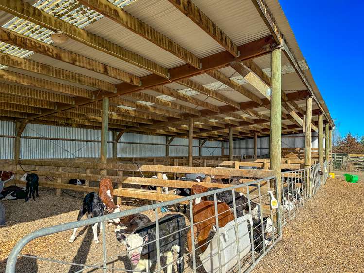 168 Duncan Road North Tapanui_10