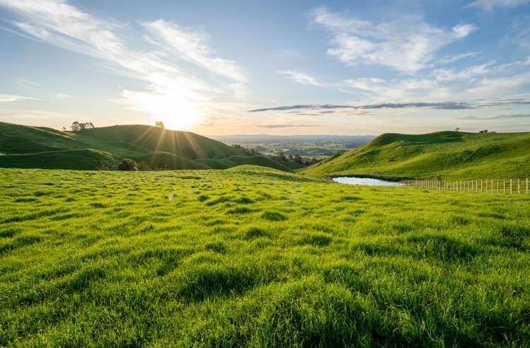 699 Maungakawa Road Te Miro_4