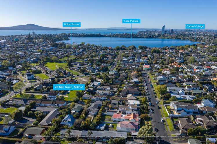 79A Nile Road Milford_26
