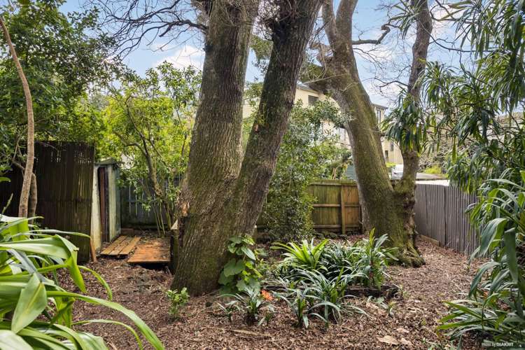 61 King George Avenue Epsom_6