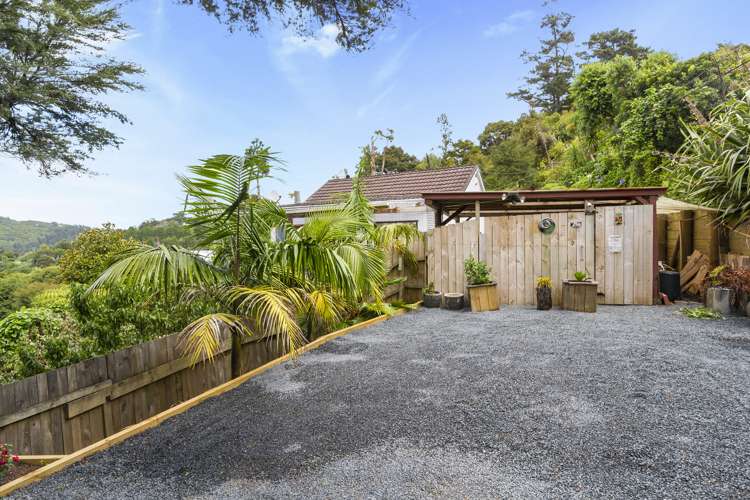 59 Cornwallis Road Cornwallis_17