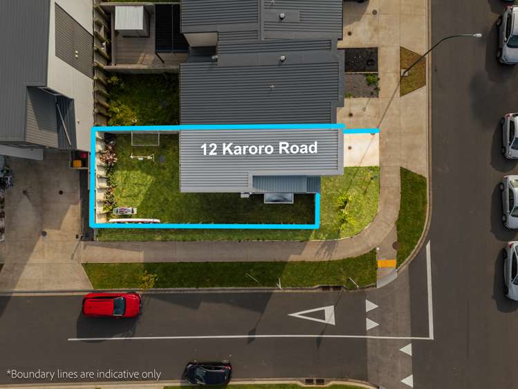 12 Karoro Road Flat Bush_7