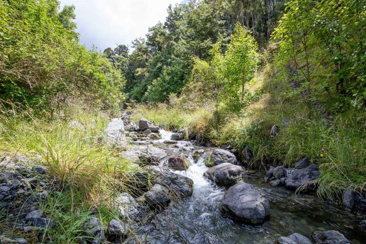 1178 Puhi Puhi Road Puhi Puhi_8