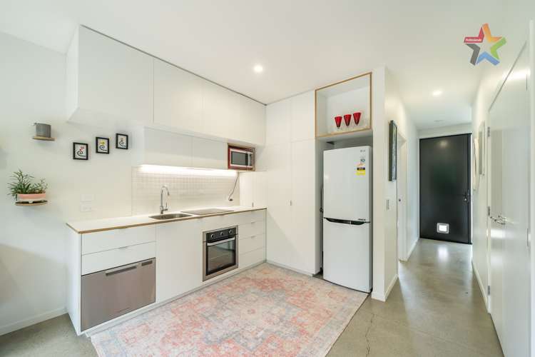 15 Te Ara O Paetutu Petone_7