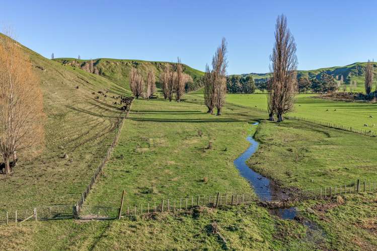 717k Puketitiri Road Puketapu_31
