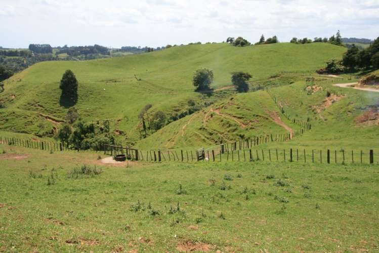 1099 Mataro Road Urenui_9