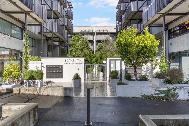 G04/30a Enfield Street Mount Eden_13