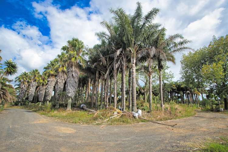 383 Karaka Road Karaka_8