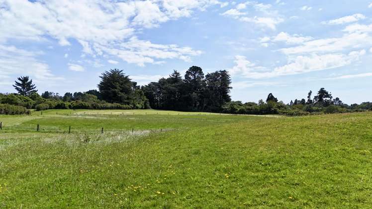 114 Dudley Road Upper Inglewood_8