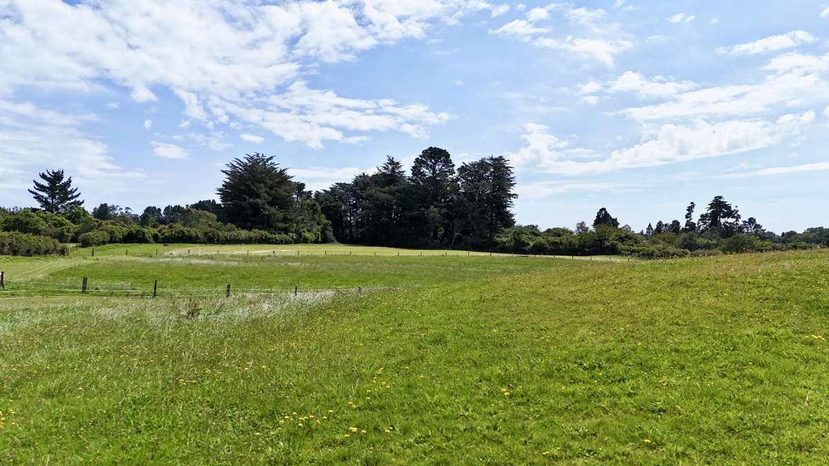 114 Dudley Road Upper_4