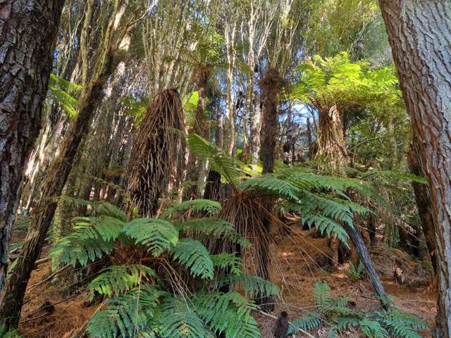 111 Main Road Stewart Island_1