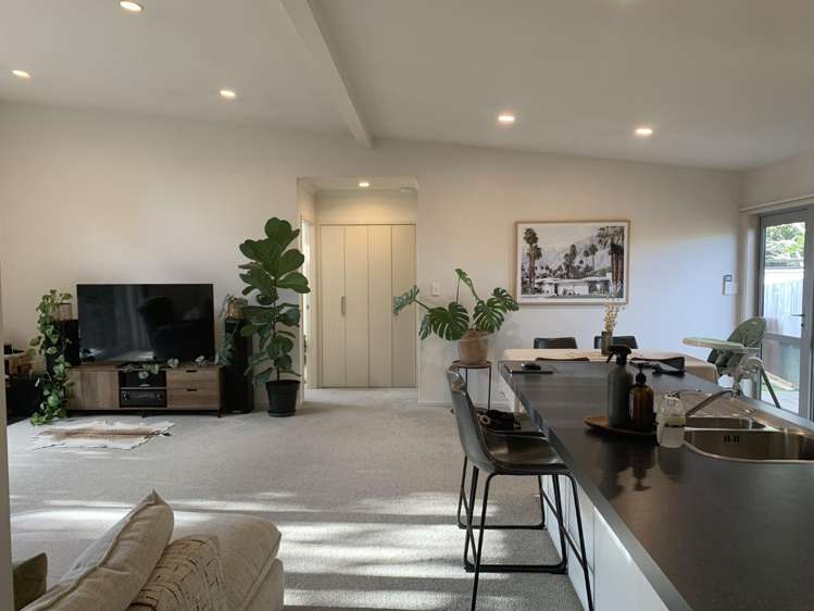 8A Vine Avenue Maungatapu_8