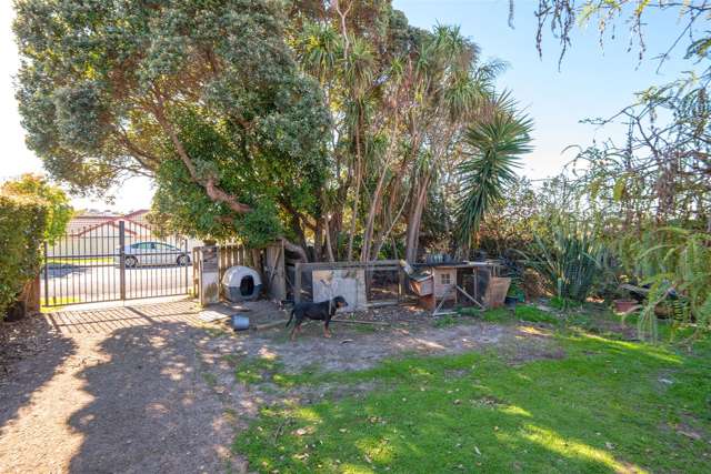 119 Mcleod Road Te Atatu South_1