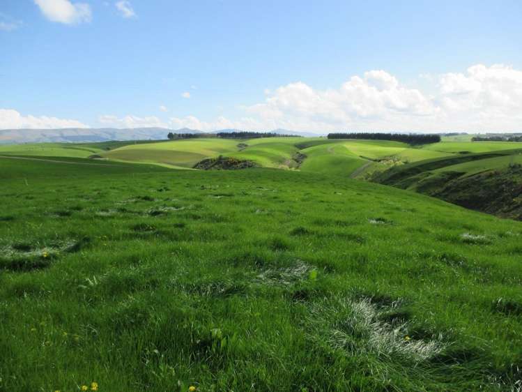 222 Morgan Road Clinton and Surrounds_10