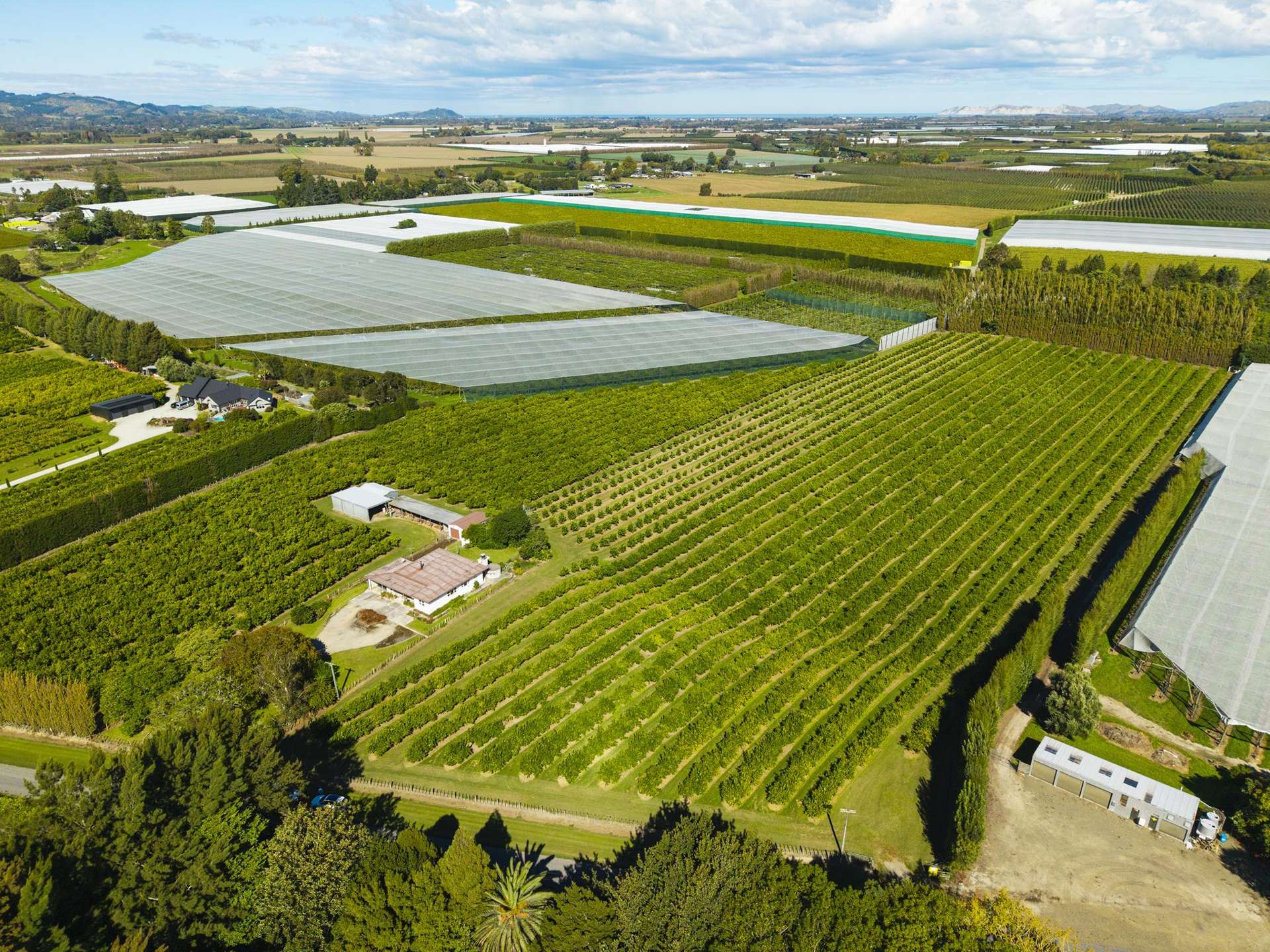 75 Brown Road Ormond_0