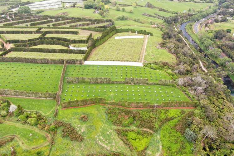 211 Pukekauri Road Waikino_14