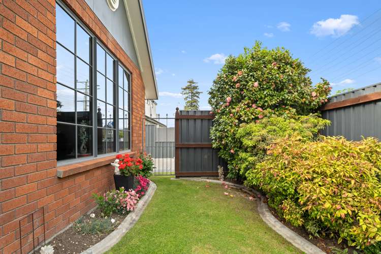 2 Murphys Road Springlands_13