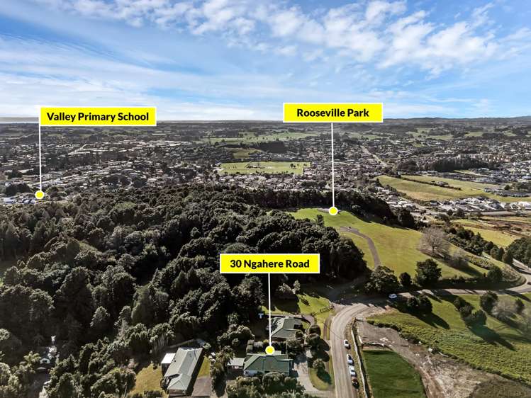 30 Ngahere Road Pukekohe_41