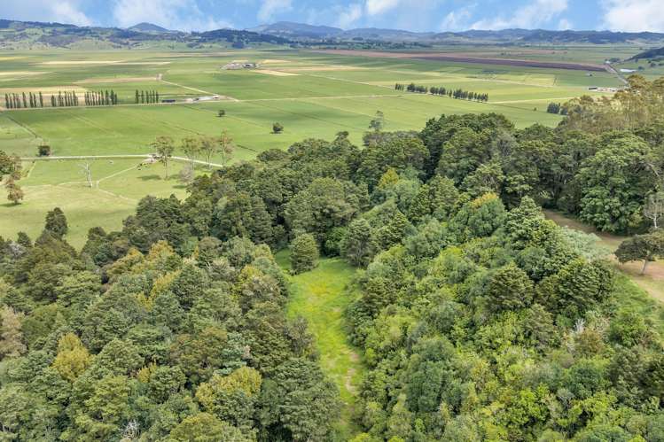 Lots 3, 4 & 5 Don Meara Lane Kauri_30