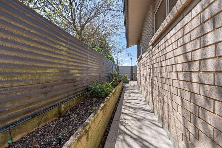 40 William Wong Place Carterton_18