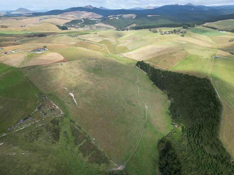 3/220 Taieri Peak Road Palmerston_8