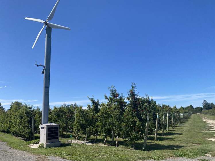 Rockit Orchard No.2 LP Hastings_6